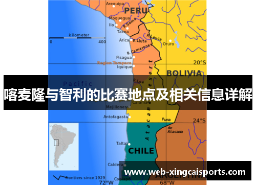 喀麦隆与智利的比赛地点及相关信息详解